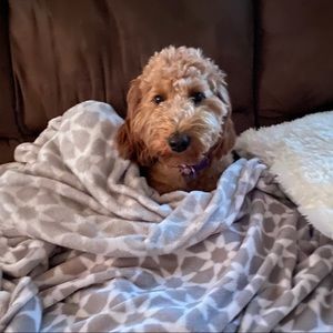 Meet your Posher, Luke